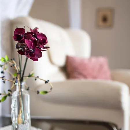 A905 By Interhome Apartment