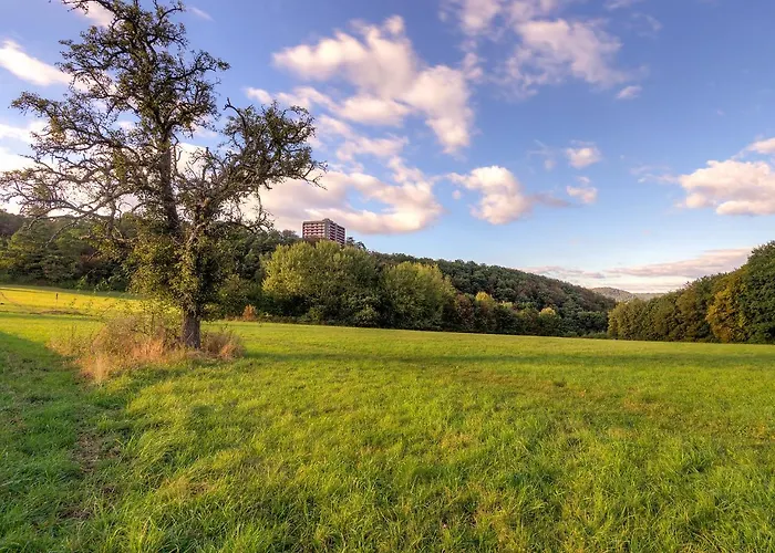 Hunsrueckblick - A905 By Interhome Apartamento